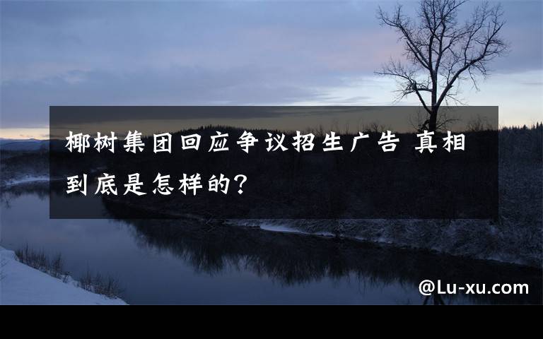 椰樹集團回應爭議招生廣告 真相到底是怎樣的？