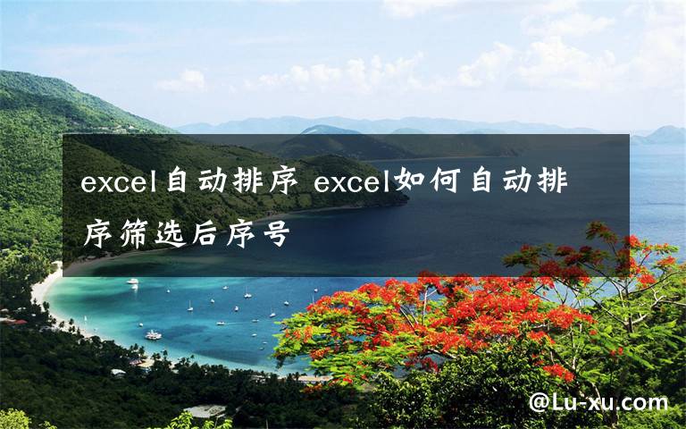 excel自動(dòng)排序 excel如何自動(dòng)排序篩選后序號(hào)