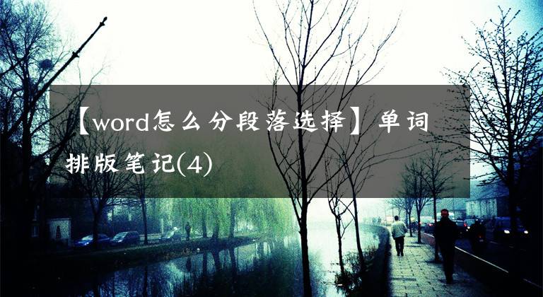 【word怎么分段落選擇】單詞排版筆記(4)