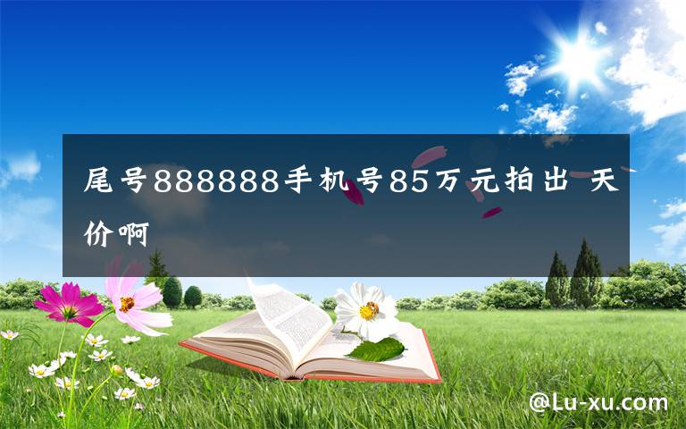 尾號(hào)888888手機(jī)號(hào)85萬元拍出 天價(jià)啊