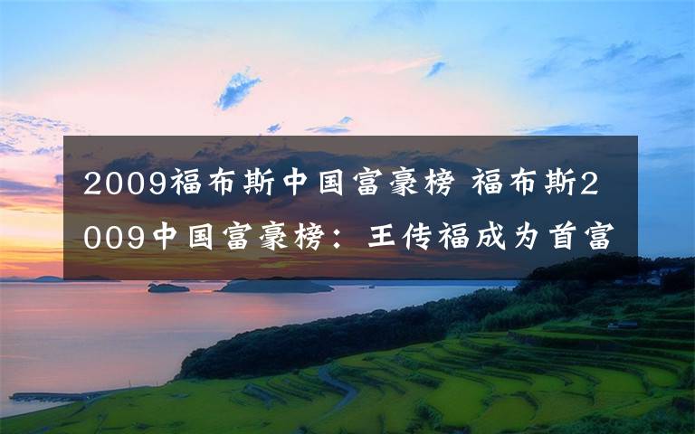 2009福布斯中國富豪榜 福布斯2009中國富豪榜：王傳福成為首富