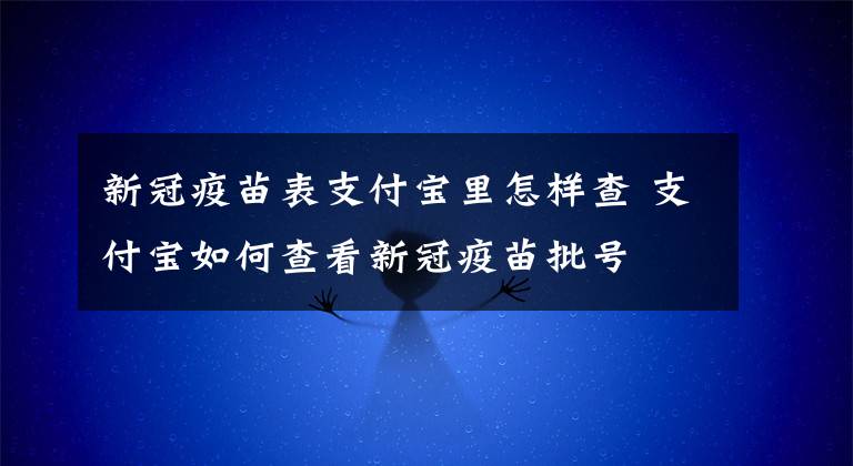 新冠疫苗表支付寶里怎樣查 支付寶如何查看新冠疫苗批號(hào)