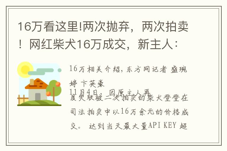 16萬看這里!兩次拋棄，兩次拍賣！網(wǎng)紅柴犬16萬成交，新主人：任何條件都不會(huì)交還