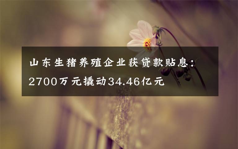 山東生豬養(yǎng)殖企業(yè)獲貸款貼息：2700萬元撬動34.46億元