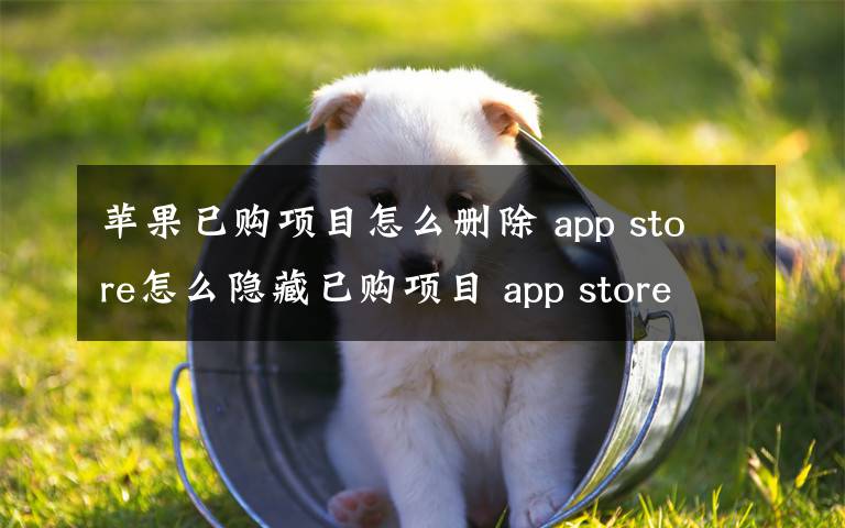 蘋果已購項目怎么刪除 app store怎么隱藏已購項目 app store隱藏已購項目步驟介紹