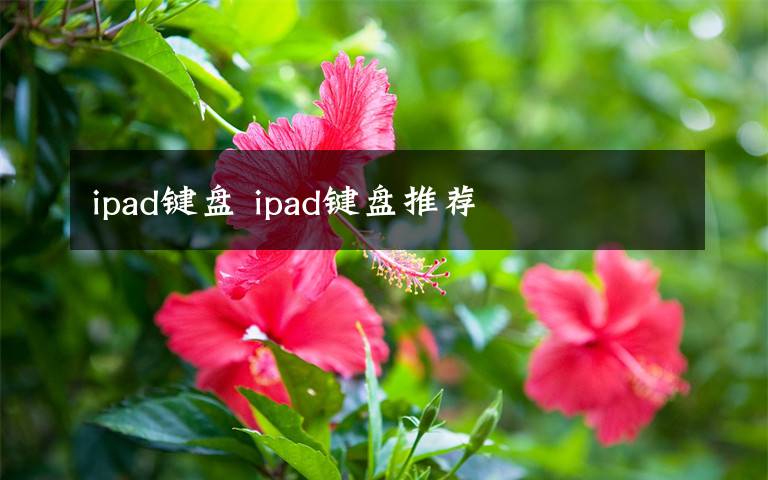 ipad鍵盤 ipad鍵盤推薦