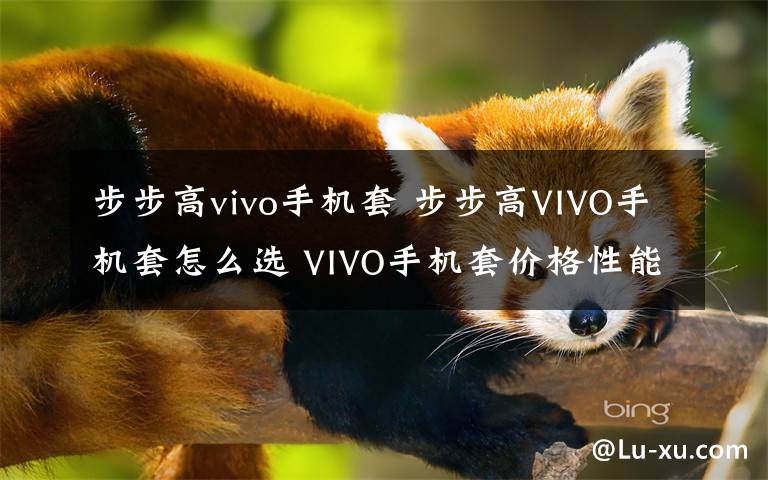 步步高vivo手機(jī)套 步步高VIVO手機(jī)套怎么選 VIVO手機(jī)套價(jià)格性能介紹【詳解】