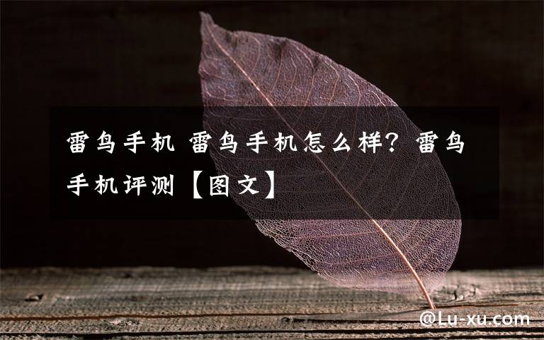 雷鳥(niǎo)手機(jī) 雷鳥(niǎo)手機(jī)怎么樣？雷鳥(niǎo)手機(jī)評(píng)測(cè)【圖文】