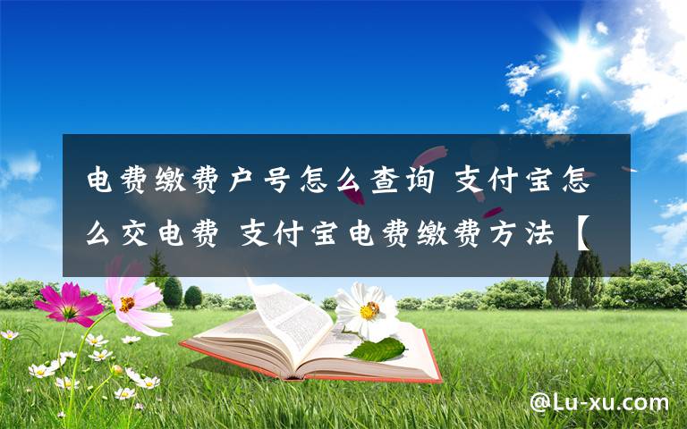 電費繳費戶號怎么查詢 支付寶怎么交電費 支付寶電費繳費方法【詳解】