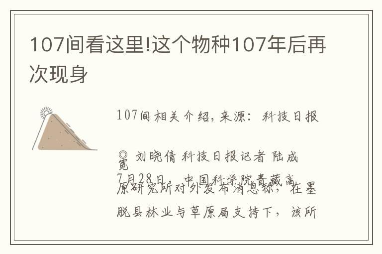 107間看這里!這個(gè)物種107年后再次現(xiàn)身