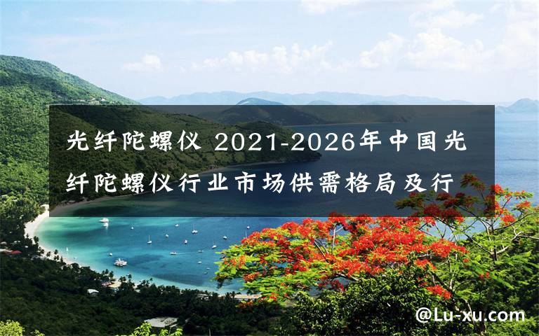 光纖陀螺儀 2021-2026年中國光纖陀螺儀行業(yè)市場供需格局及行業(yè)前景展望報告