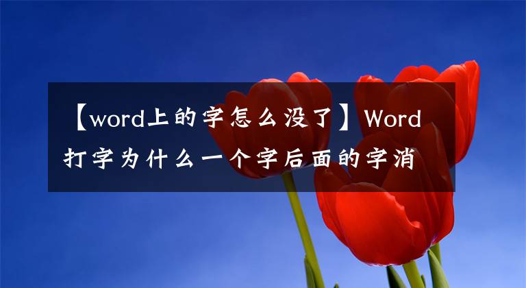 【word上的字怎么沒了】Word打字為什么一個(gè)字后面的字消失了？