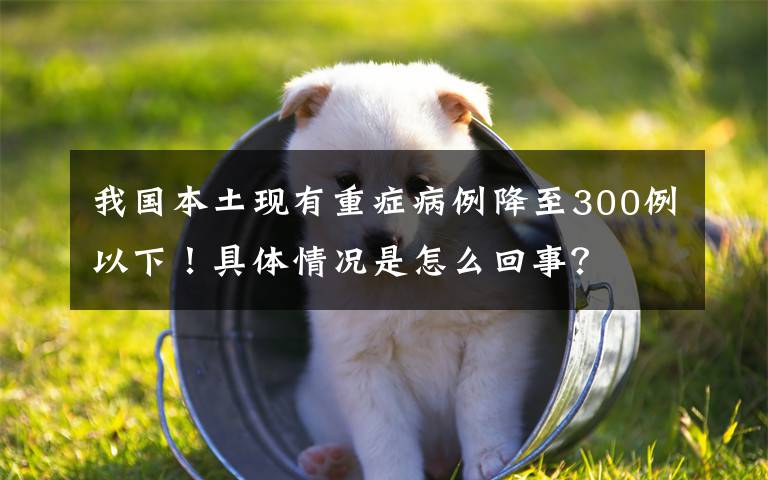 我國本土現(xiàn)有重癥病例降至300例以下！具體情況是怎么回事？