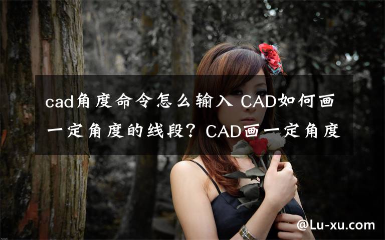 cad角度命令怎么輸入 CAD如何畫(huà)一定角度的線段？CAD畫(huà)一定角度的線段方法