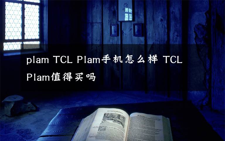 plam TCL Plam手機怎么樣 TCL Plam值得買嗎