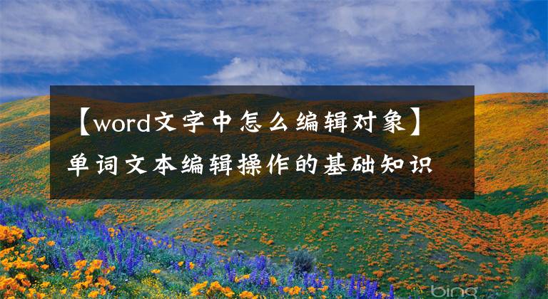 【word文字中怎么編輯對象】單詞文本編輯操作的基礎(chǔ)知識