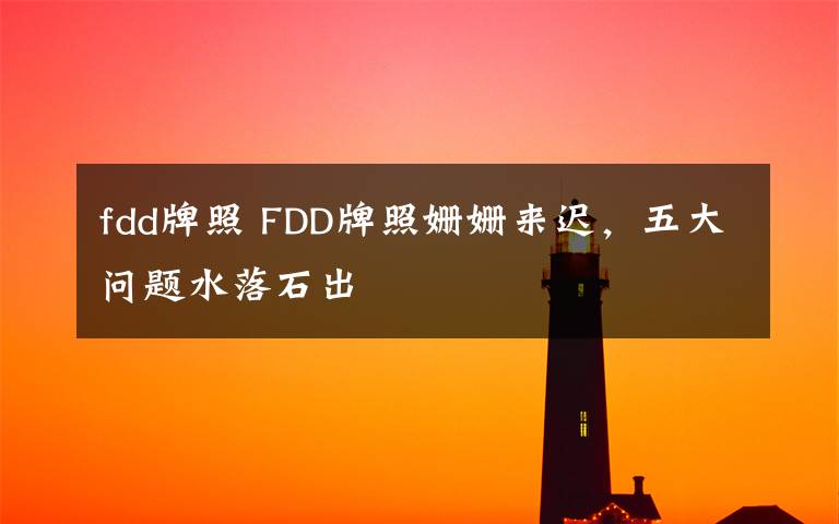 fdd牌照 FDD牌照姍姍來遲，五大問題水落石出