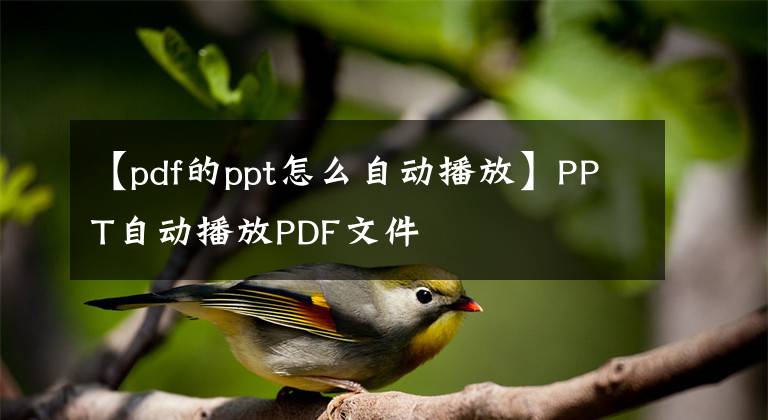 【pdf的ppt怎么自動播放】PPT自動播放PDF文件