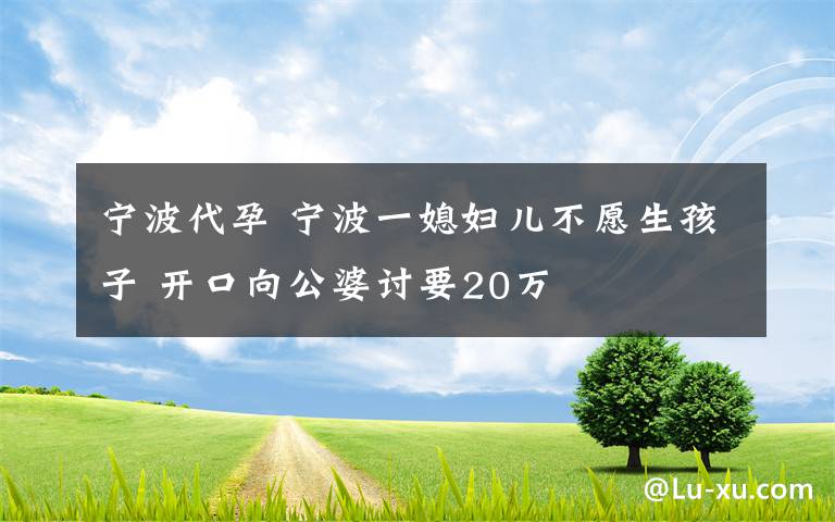 寧波代孕 寧波一媳婦兒不愿生孩子 開(kāi)口向公婆討要20萬(wàn)