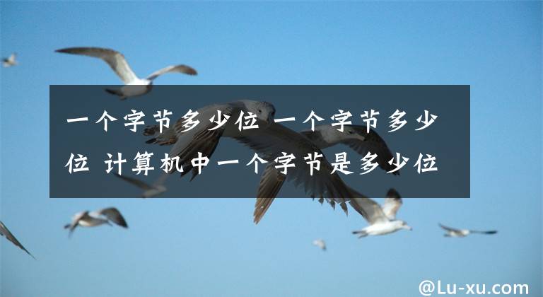 一個字節(jié)多少位 一個字節(jié)多少位 計算機中一個字節(jié)是多少位