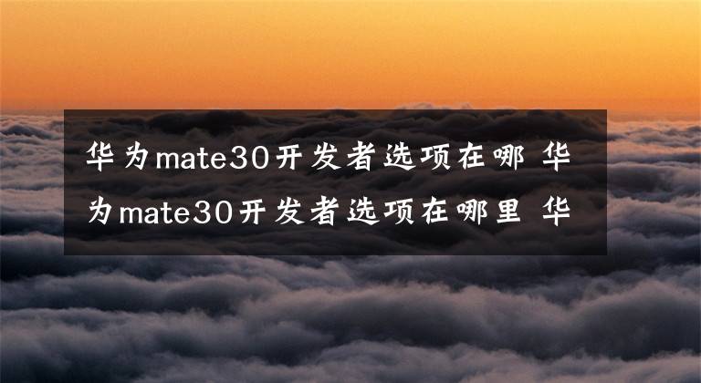 華為mate30開發(fā)者選項在哪 華為mate30開發(fā)者選項在哪里 華為mate30的開發(fā)者在哪里