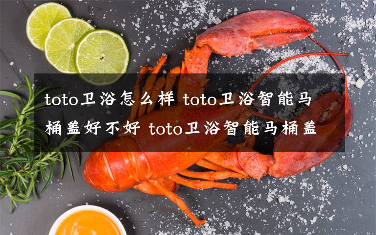 toto衛(wèi)浴怎么樣 toto衛(wèi)浴智能馬桶蓋好不好 toto衛(wèi)浴智能馬桶蓋優(yōu)點介紹【詳解】