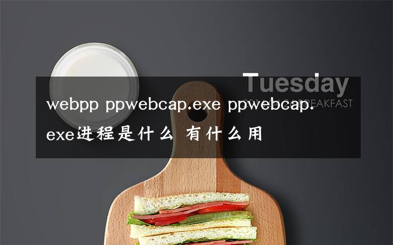 webpp ppwebcap.exe ppwebcap.exe進程是什么 有什么用