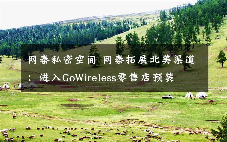 網(wǎng)秦私密空間 網(wǎng)秦拓展北美渠道：進(jìn)入GoWireless零售店預(yù)裝