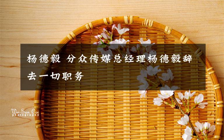 楊德毅 分眾傳媒總經(jīng)理?xiàng)畹乱戕o去一切職務(wù)