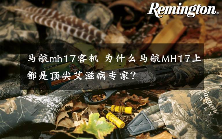 馬航mh17客機 為什么馬航MH17上都是頂尖艾滋病專家？