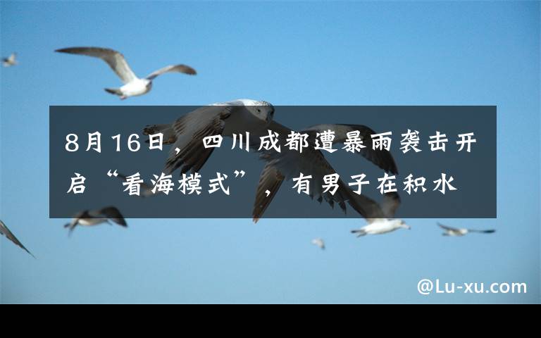 8月16日，四川成都遭暴雨襲擊開啟“看海模式”，有男子在積水中花式游泳，萬萬沒想到自己正被電