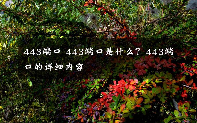 443端口 443端口是什么？443端口的詳細(xì)內(nèi)容