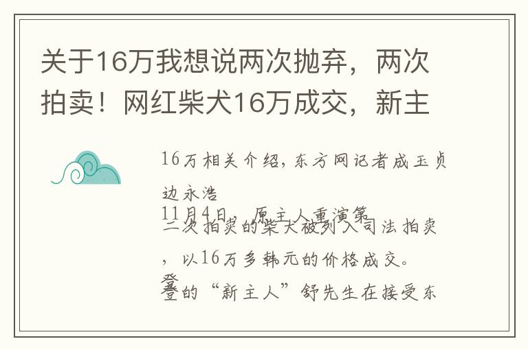 關(guān)于16萬我想說兩次拋棄，兩次拍賣！網(wǎng)紅柴犬16萬成交，新主人：任何條件都不會交還