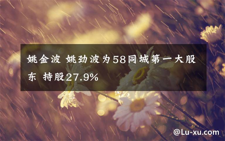 姚金波 姚勁波為58同城第一大股東 持股27.9%