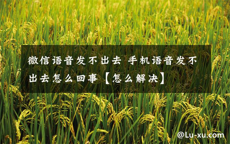 微信語(yǔ)音發(fā)不出去 手機(jī)語(yǔ)音發(fā)不出去怎么回事【怎么解決】