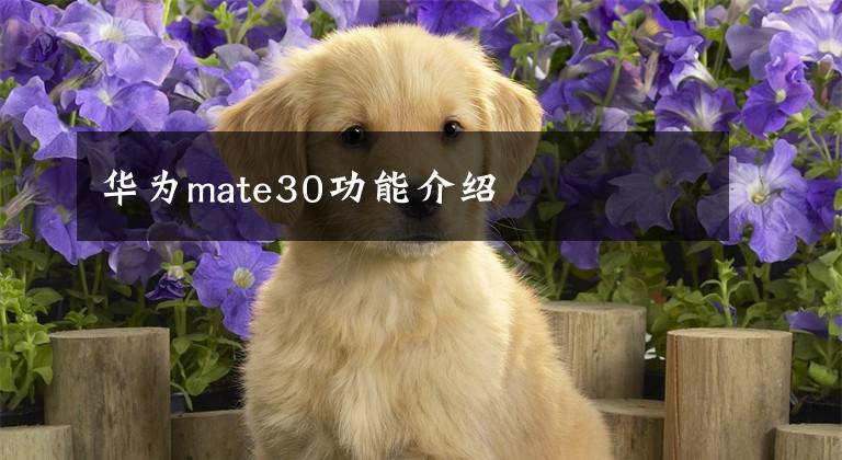 華為mate30功能介紹