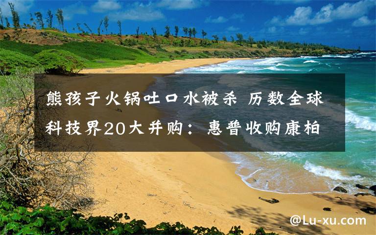 熊孩子火鍋吐口水被殺 歷數(shù)全球科技界20大并購：惠普收購康柏排第二