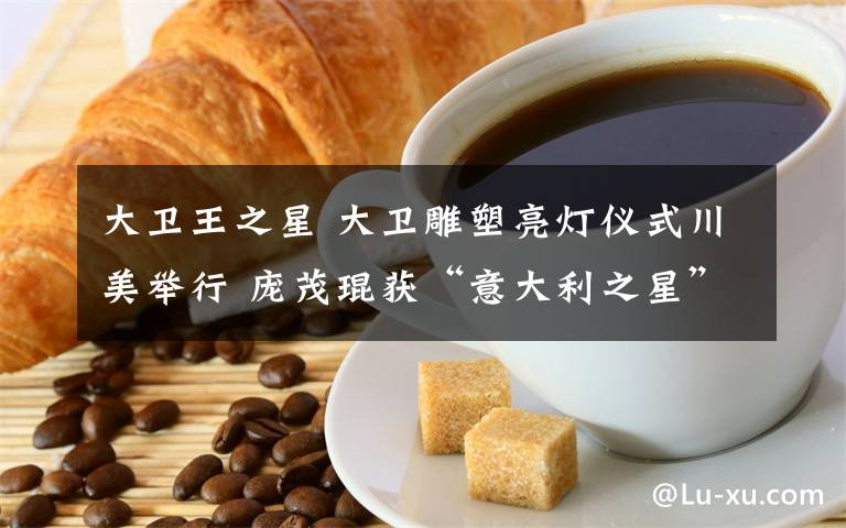 大衛(wèi)王之星 大衛(wèi)雕塑亮燈儀式川美舉行 龐茂琨獲“意大利之星”榮譽(yù)勛章