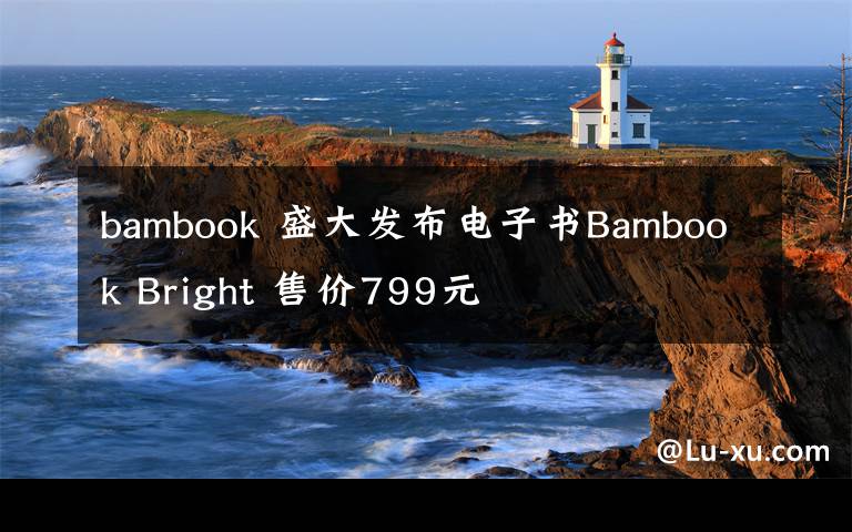 bambook 盛大發(fā)布電子書(shū)B(niǎo)ambook Bright 售價(jià)799元