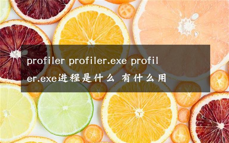 profiler profiler.exe profiler.exe進程是什么 有什么用