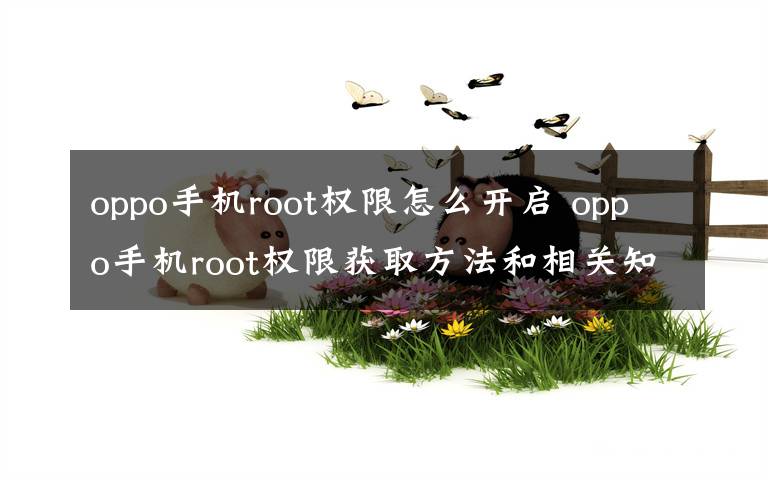 oppo手機root權限怎么開啟 oppo手機root權限獲取方法和相關知識介紹