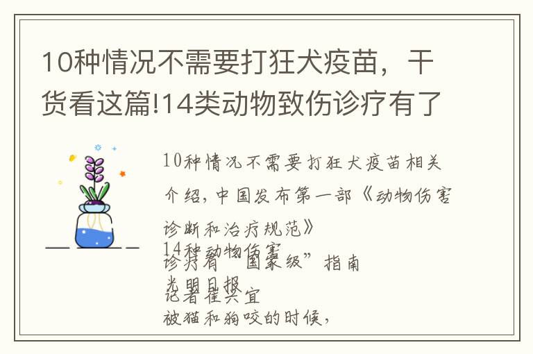 10種情況不需要打狂犬疫苗，干貨看這篇!14類動(dòng)物致傷診療有了“國(guó)家級(jí)”指南