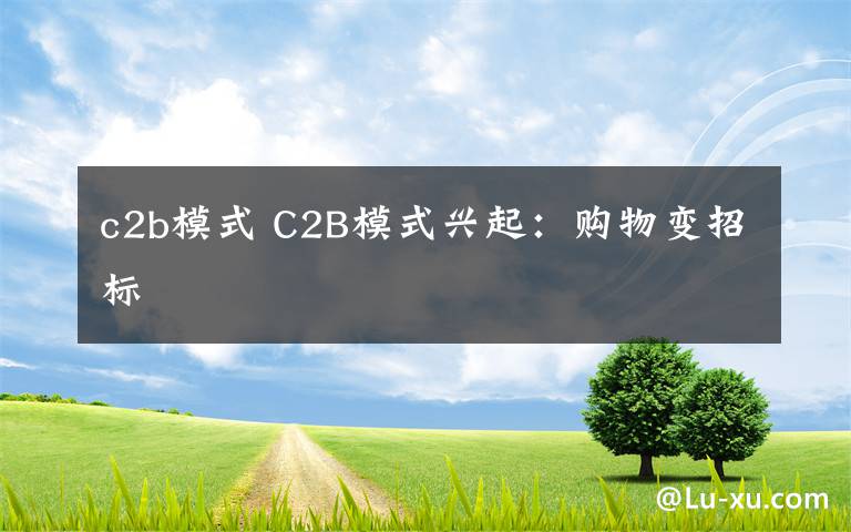 c2b模式 C2B模式興起：購(gòu)物變招標(biāo)