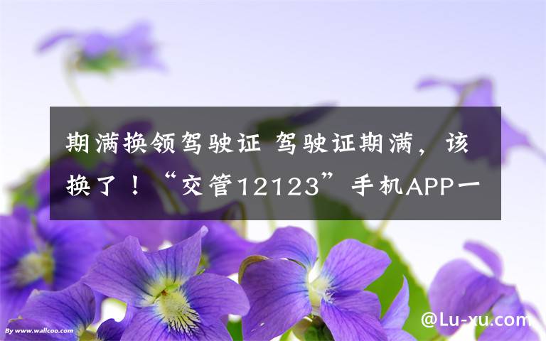 期滿換領(lǐng)駕駛證 駕駛證期滿，該換了！“交管12123”手機(jī)APP一鍵搞定！