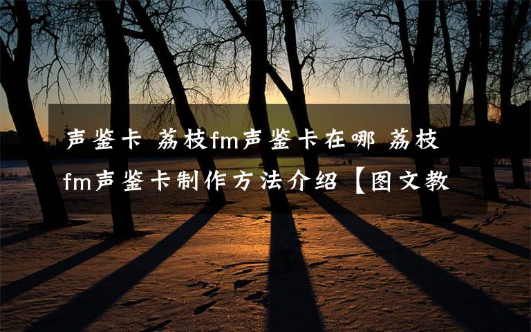 聲鑒卡 荔枝fm聲鑒卡在哪 荔枝fm聲鑒卡制作方法介紹【圖文教程】