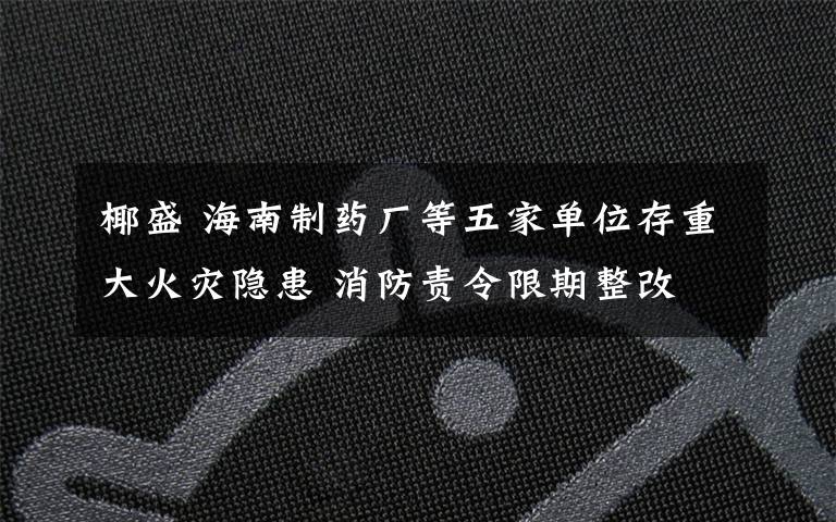 椰盛 海南制藥廠等五家單位存重大火災(zāi)隱患 消防責(zé)令限期整改