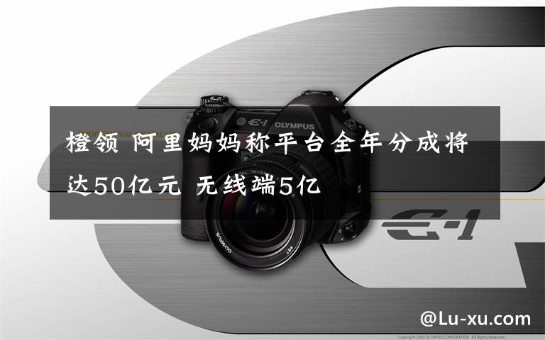 橙領(lǐng) 阿里媽媽稱平臺全年分成將達50億元 無線端5億