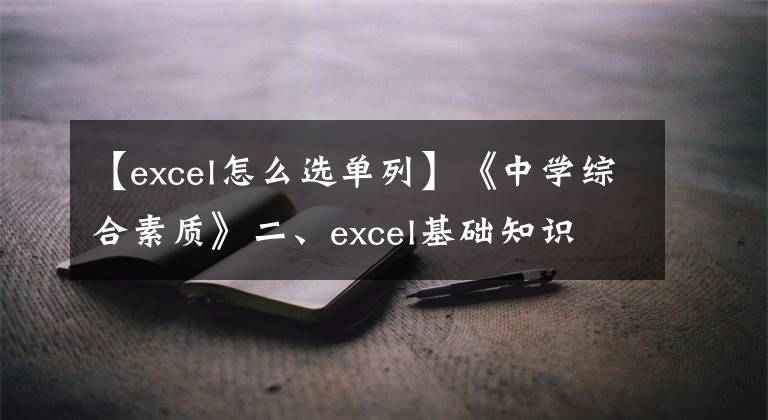 【excel怎么選單列】《中學(xué)綜合素質(zhì)》二、excel基礎(chǔ)知識