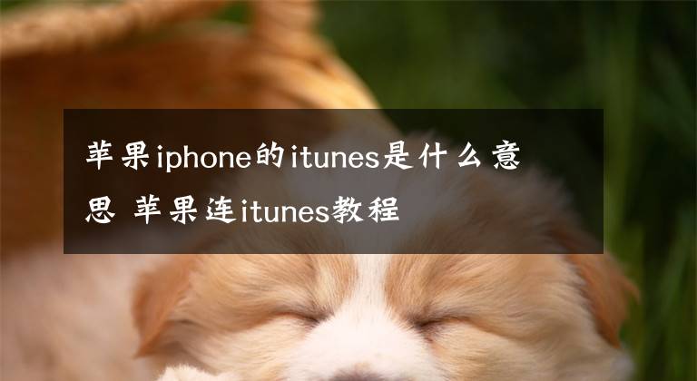 蘋果iphone的itunes是什么意思 蘋果連itunes教程