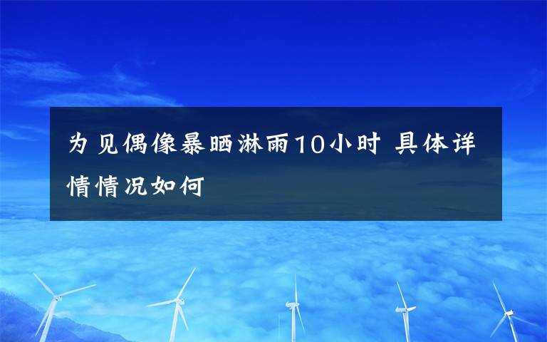 為見偶像暴曬淋雨10小時 具體詳情情況如何